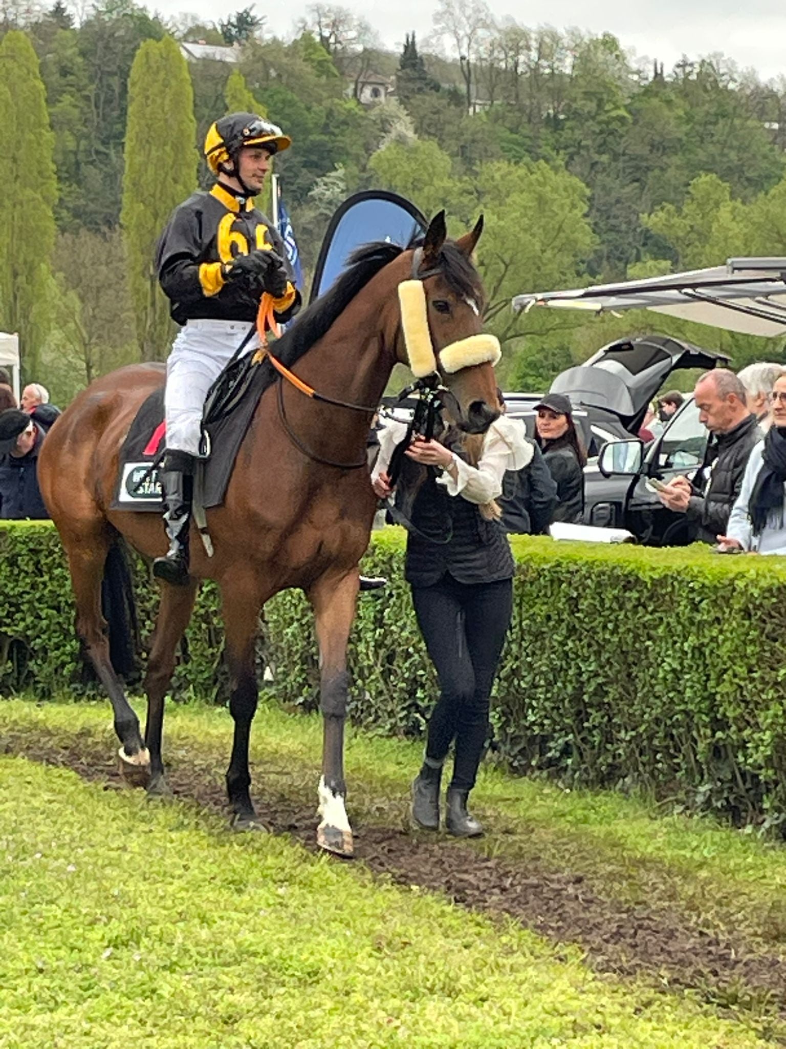 Manaia holt sich Kondition in Saarbrücken... deinrennpferd.de