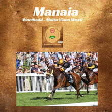 Lade das Bild in den Galerie-Viewer, Manaia 2023- Experience Shares 0,25 Prozent - Das Einsteigererlebnis für alle Neulinge