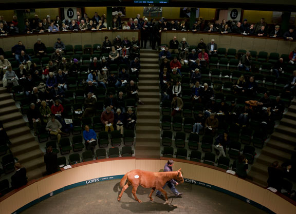 Deutsche Experten vor Ort - Mitreise  nach Dublin möglich.
