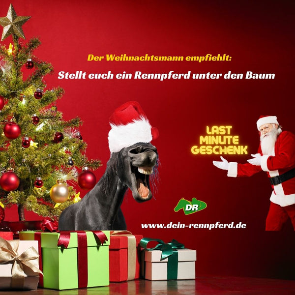 Der Weihnachtsmann empfiehlt: "Stellt euch ein Rennpferd unter den Baum"