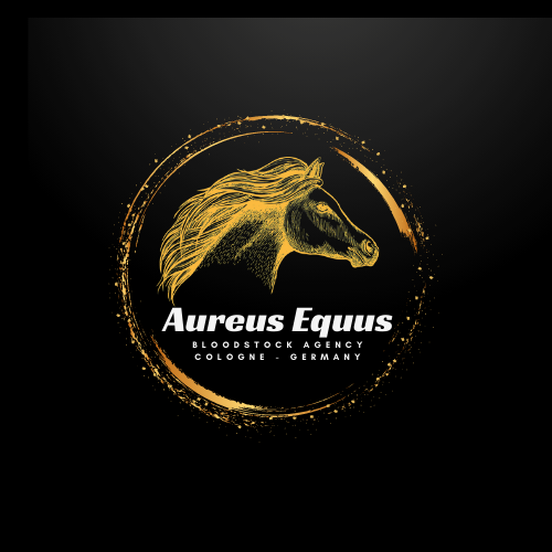 Goffs: Aureus Equus Bloodstock schlägt zweimal zu