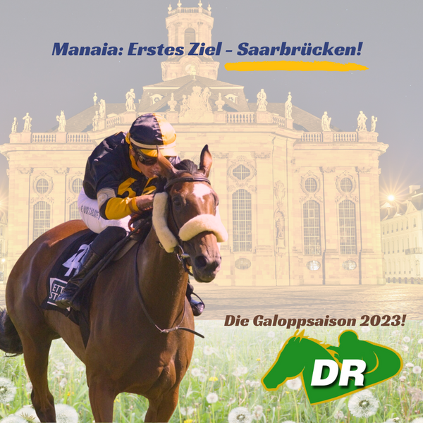 Aufgalopp 2023: Manaia in Saarbrücken!